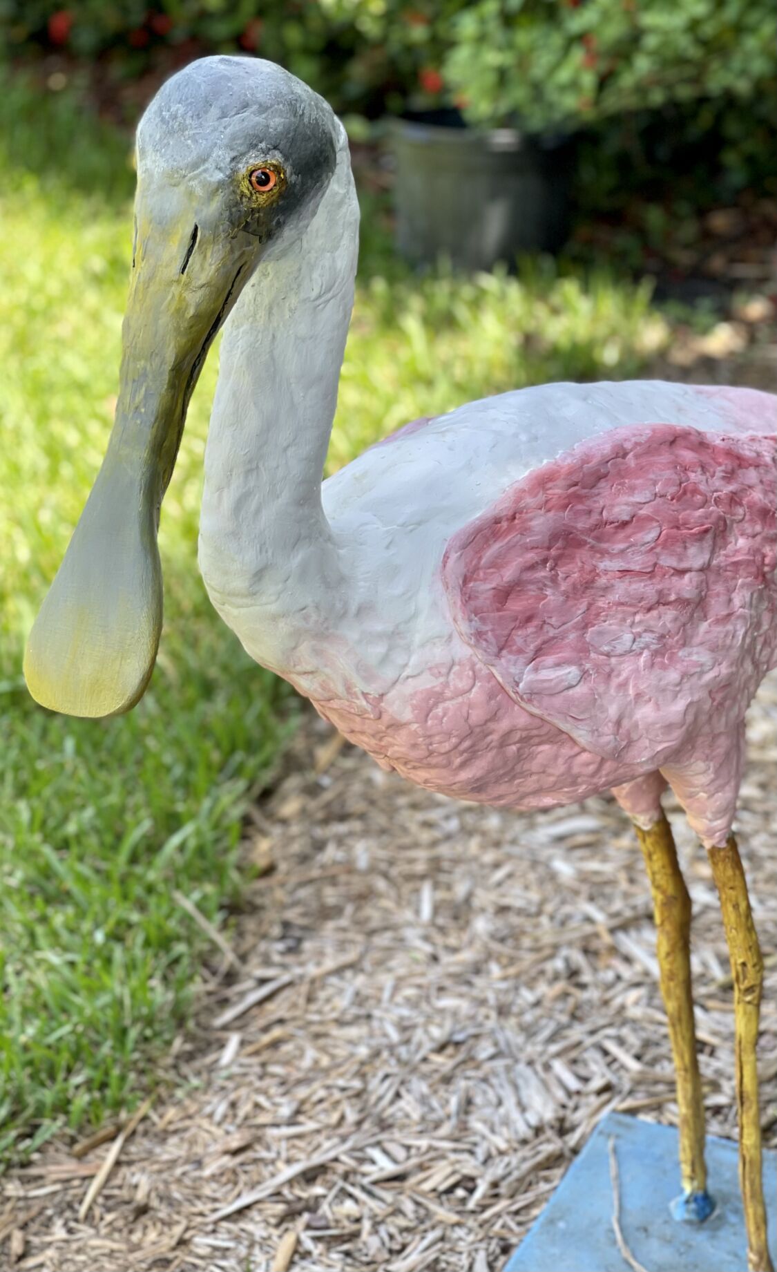 Spoonbill